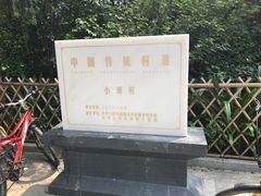 -小洲村