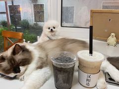 -灯塔咖啡馆BOOK·Coffee Shop
