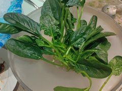 -石鼎香·非遗淮扬火锅(江都龙川桥店)