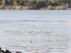 -丁香湖公园