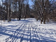 -长春市南湖公园