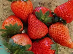 -禾斗海鲜自助(市南银座店)