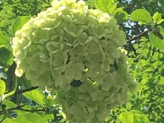 -大宁灵石公园西门票处