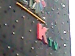 -五月花(朝阳南大街店)