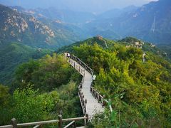 -大岭沟猕猴桃谷风景区