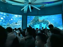 -海合安武汉极地海洋公园