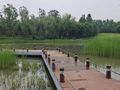 -稻香湖公园