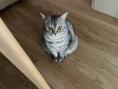 -黑皮酸菜鱼(三山街店)