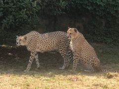 -杭州野生动物世界