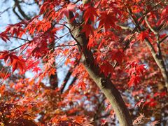 景点-白马涧龙池景区