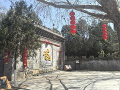 -大槐树寻根祭祖园