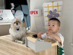 -读宠于你·约克夏比熊·睫角守宫·爬宠售卖(高新店)