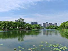 -新江湾城公园