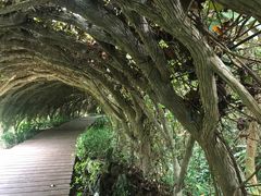 -广西壮族自治区药用植物园