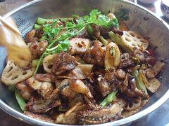 干锅牛蛙-蛙蛙叫干锅年代(簋街总店)