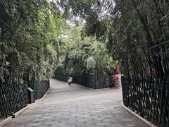 -红螺寺
