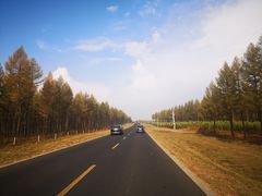 -塞罕坝国家级自然保护区