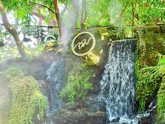 -Chom Cafe and Restaurant