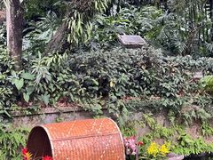 -广州兰圃