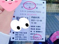 -东澳岛