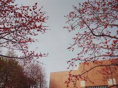 -广州逸林假日酒店·四季桃源中餐厅(白云山风景区店)