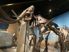 -国家自然博物馆