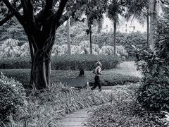 -东风公园