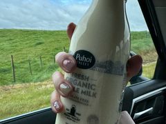 -怀托摩萤火虫洞