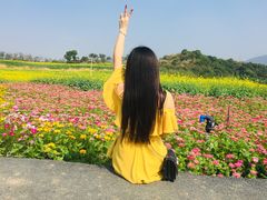 -光明小镇欢乐田园
