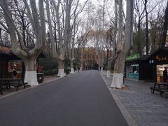 -灵谷景区