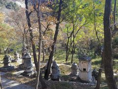-北京上方山国家森林公园