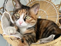 -新荟城(望京店)