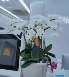 -悟空祛痘·诺奖技术专业店