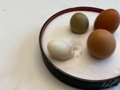 -冶春茶社(星汉大厦店)