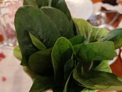 -前门杨记·铜锅涮肉(王府井·故宫店)