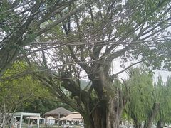 -西昌邛海湿地