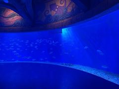 -波塞冬海底世界