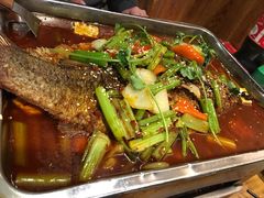 -金厨帽烤鱼(芦庄店)