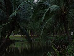 -白沙门生态公园