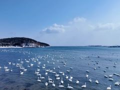 -烟墩角天鹅湖
