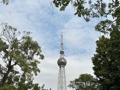 -文华公园(禅城区)