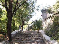 -阳台山自然风景区