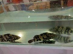 -宁波国际会展中心
