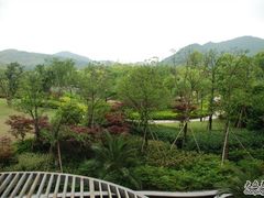 阳台看出去的景色-宁波九龙湖开元度假村