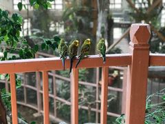 -南宫五洲植物乐园