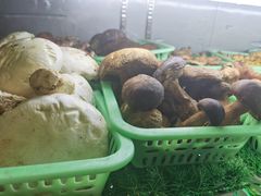-野菌园·野生菌火锅首创第一家(关兴路总店)