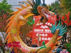 -越秀西湖花市(广州城市广场花卉店)