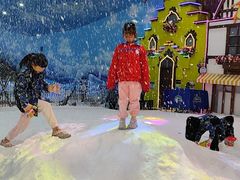 -世界之窗阿尔卑斯冰雪世界