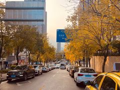 -金鸡山公园