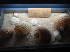 -亚龙湾中心广场·贝壳馆